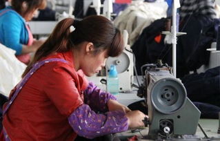 兴趣驱动创业 四川小伙如何成功创办服装厂并立足零售市场